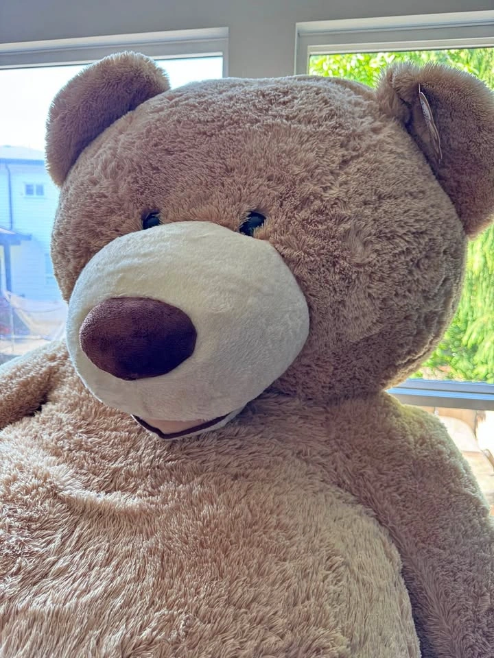 FOR ADOPTION: 7’9” Teddy Bear. Eats Nothing. Hugs Everything.