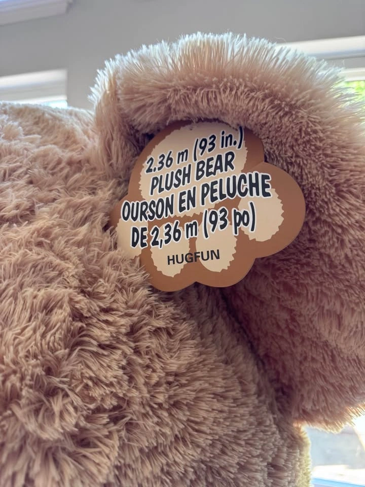 FOR ADOPTION: 7’9” Teddy Bear. Eats Nothing. Hugs Everything. - photo 4