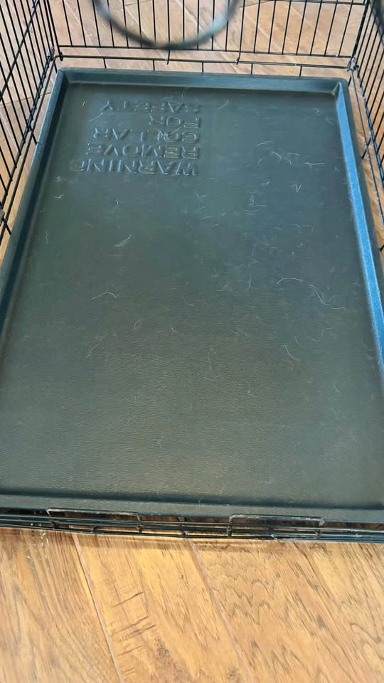 Large Dog Crate - photo 4