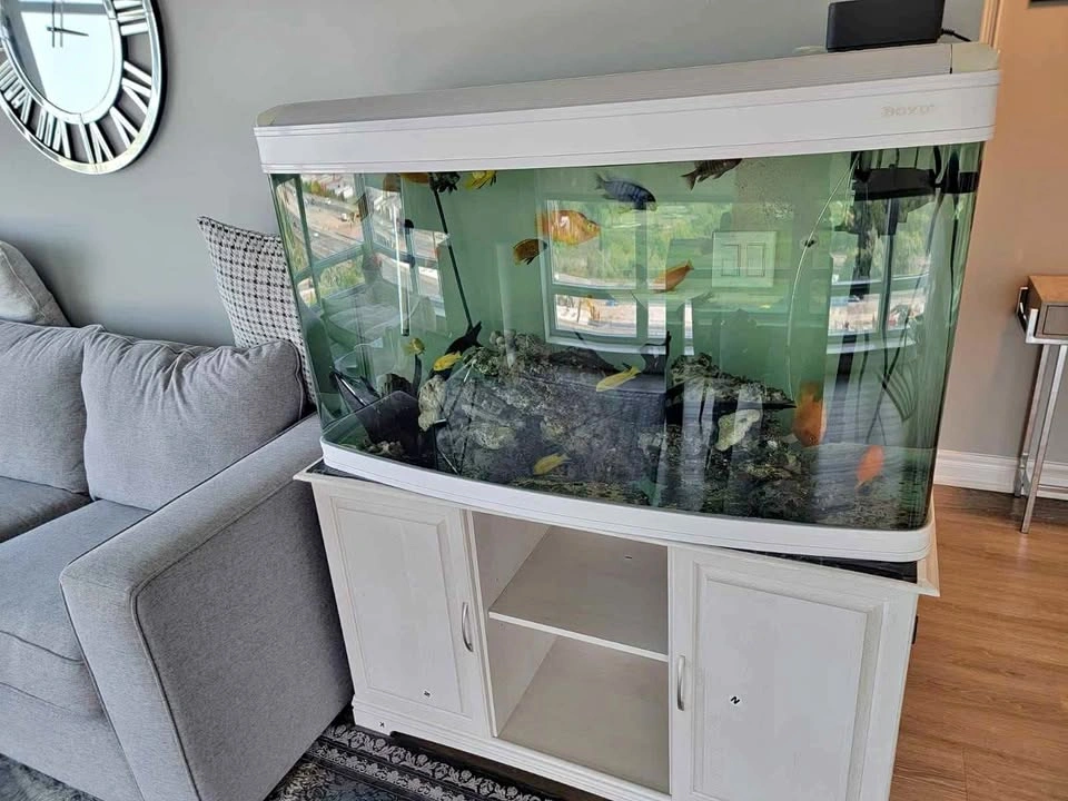 75 Gallon Fish Tank with Stand & Accessories