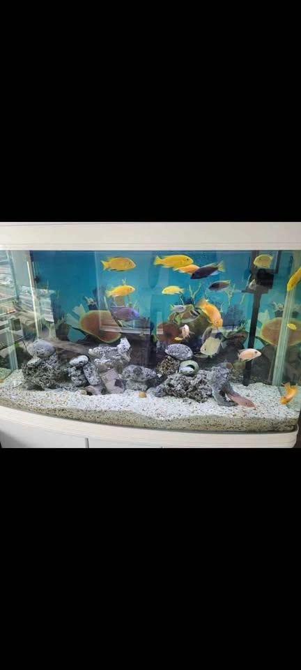 75 Gallon Fish Tank with Stand & Accessories - photo 2