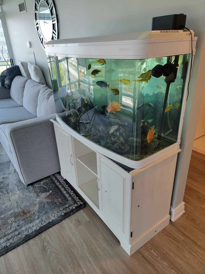 75 Gallon Fish Tank with Stand & Accessories - photo 3