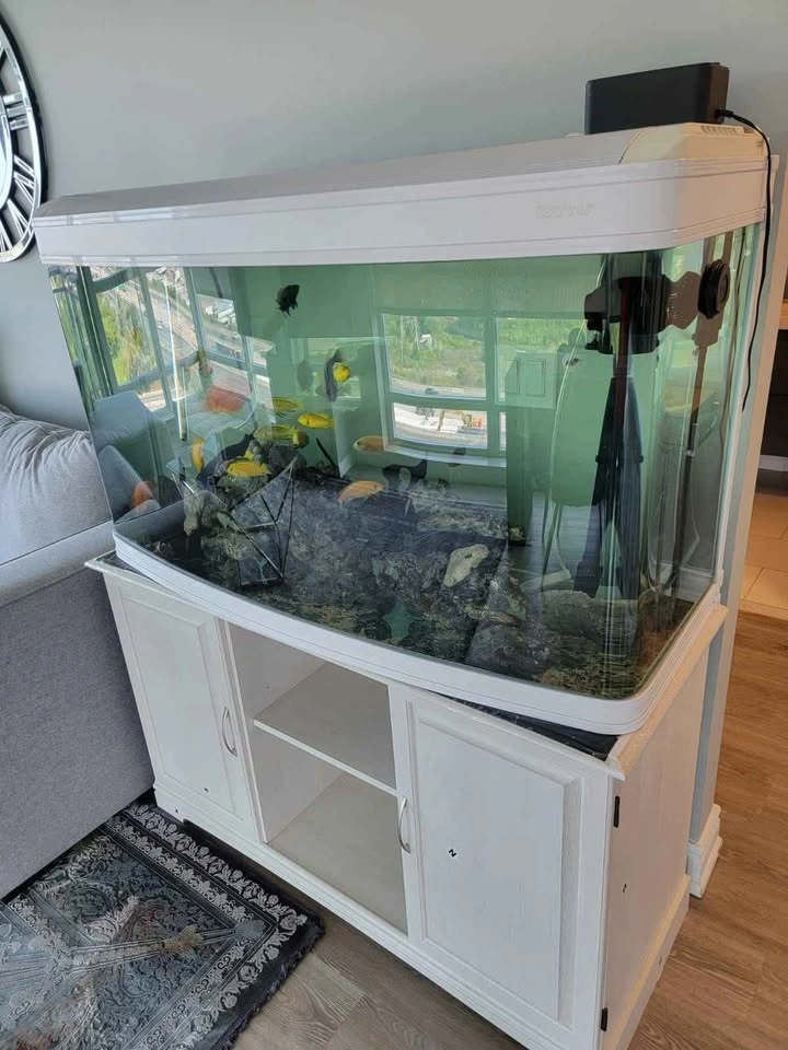 75 Gallon Fish Tank with Stand & Accessories - photo 5