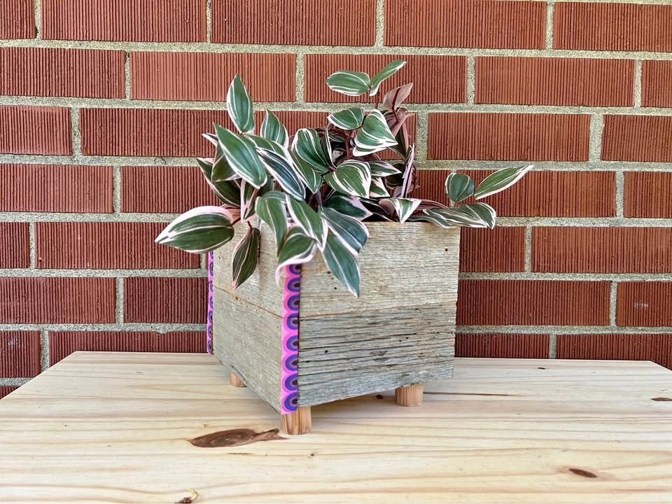 Cute Planter Box