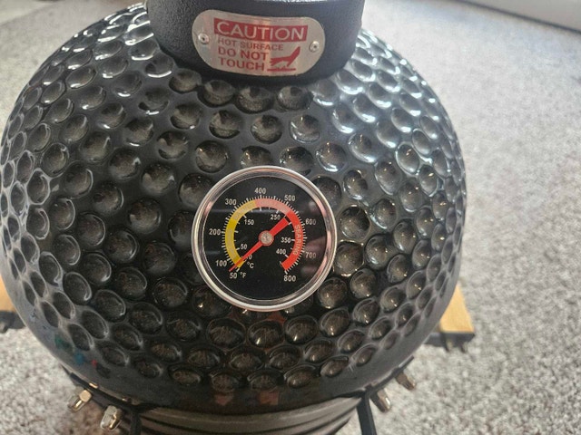 Never Used Mini Smoker