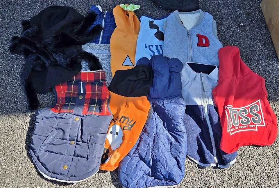 Dog clothes