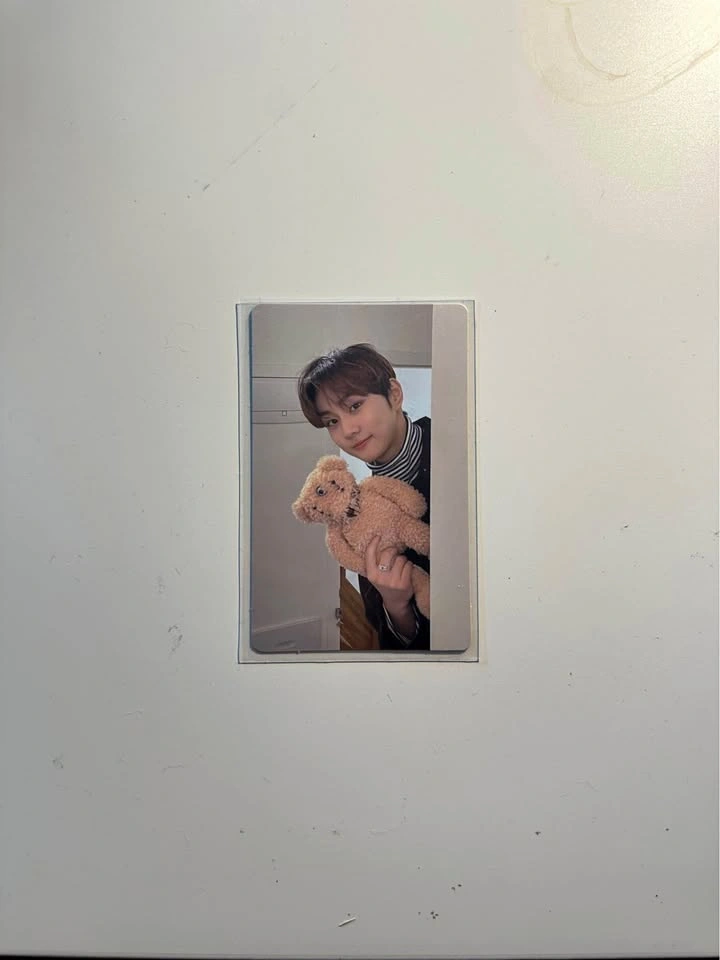 Teddy Bear Jungwon