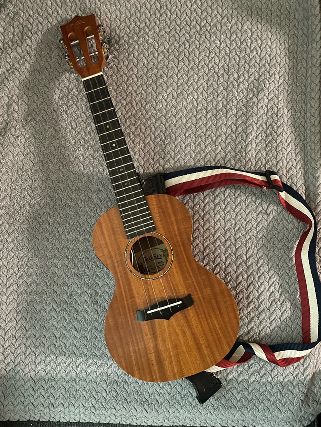 Hankey Acoustic Electric Ukulele w/ carry bag