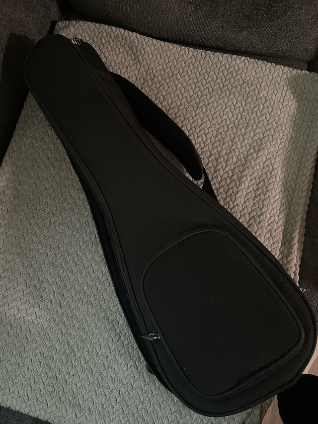 Hankey Acoustic Electric Ukulele w/ carry bag - photo 3