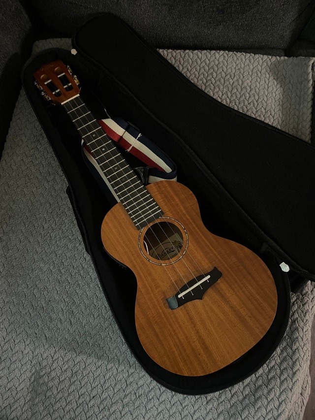 Hankey Acoustic Electric Ukulele w/ carry bag - photo 4