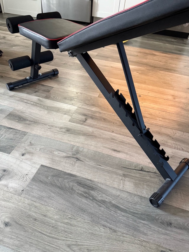 Workout Bench | Fully adjustable & fully collapsible - photo 2