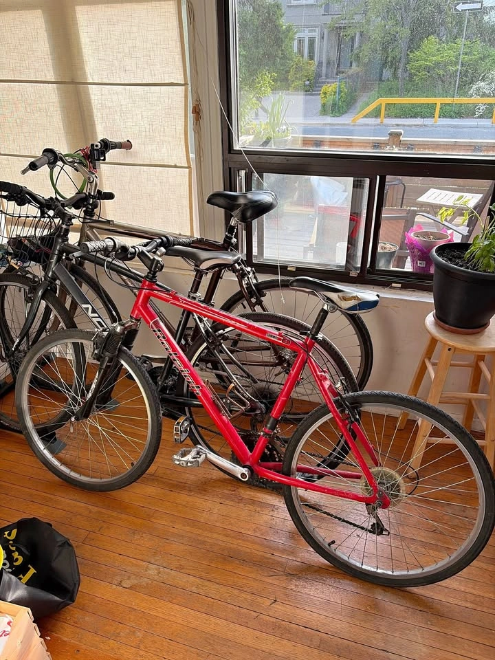Red Raleigh Mountain Bike