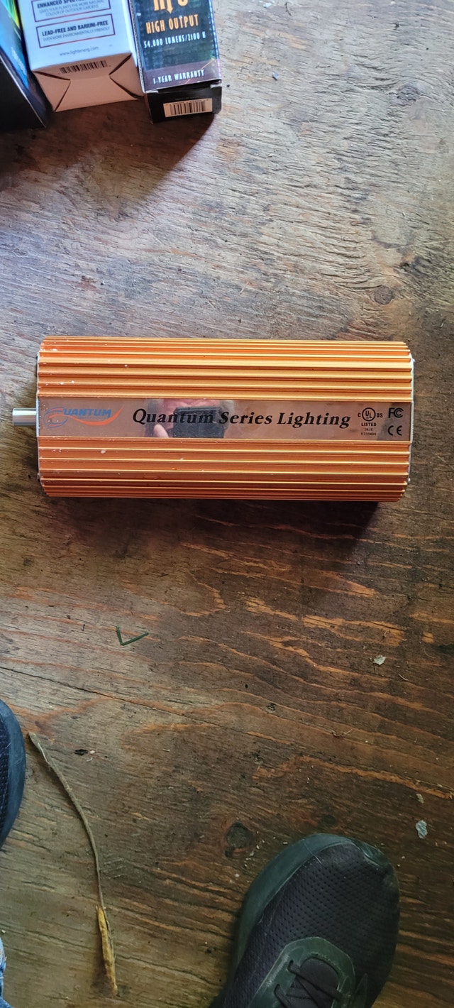 400W Electronic Ballast, Reflector & Grow Bulbs