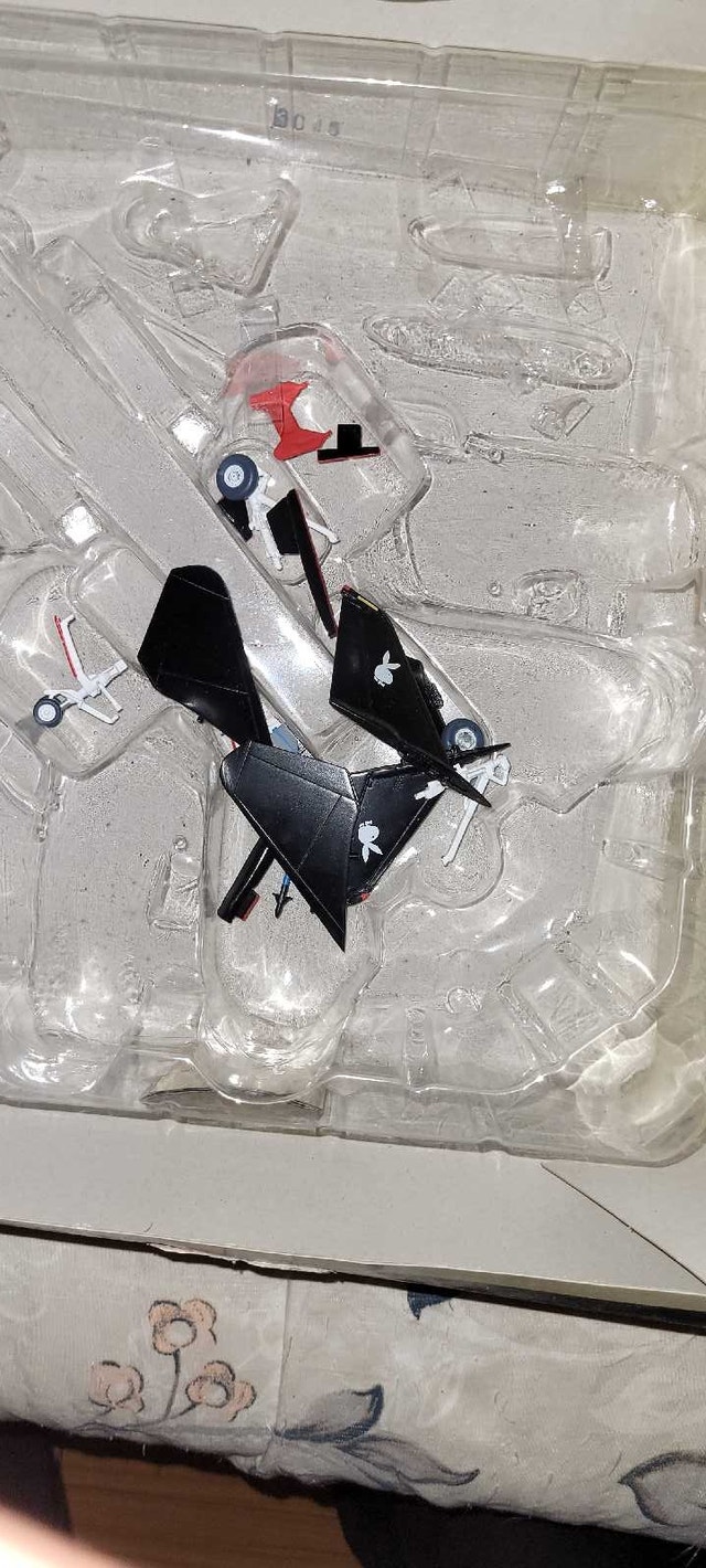 1/72 Diecast F14A Black Bunny - photo 5