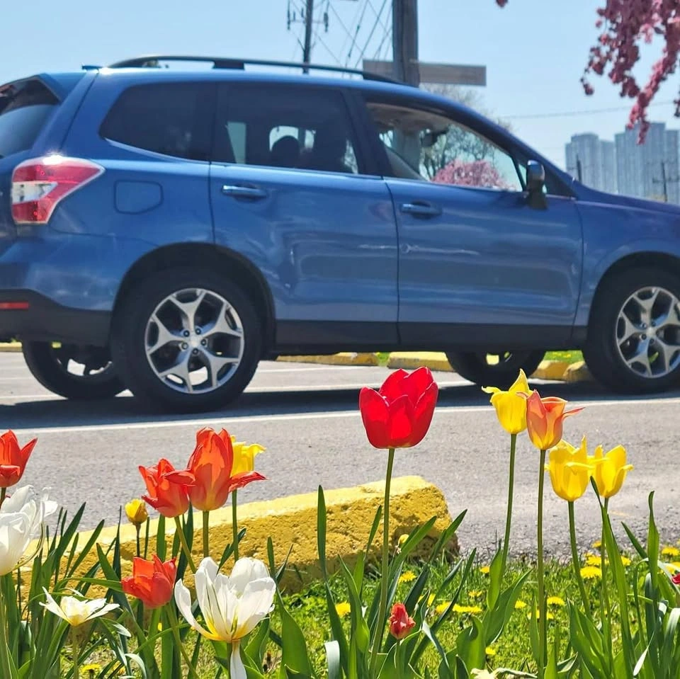 2016 Subaru Forester Limited w/ Tech Package