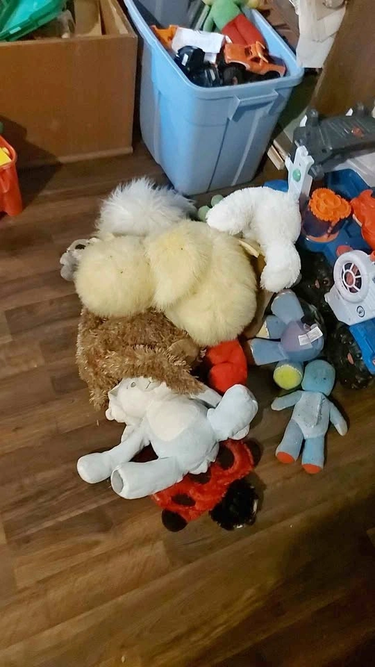 Stuffed Animal Plush Toy Bundle