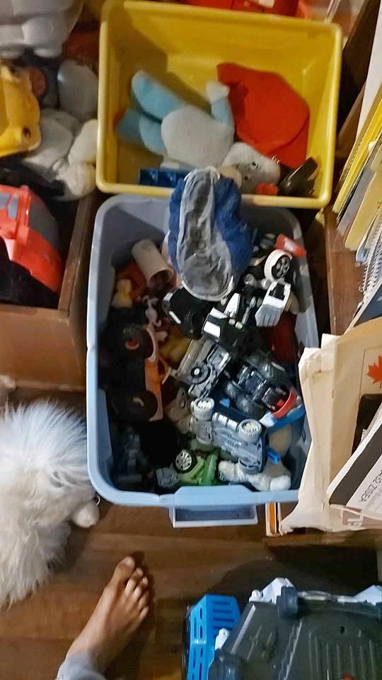Assorted Kids Toy Lot - Cars, Trucks, Blocks, Igglepiggle Plush