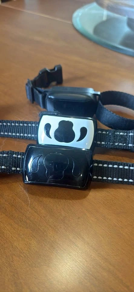 Dog training collars