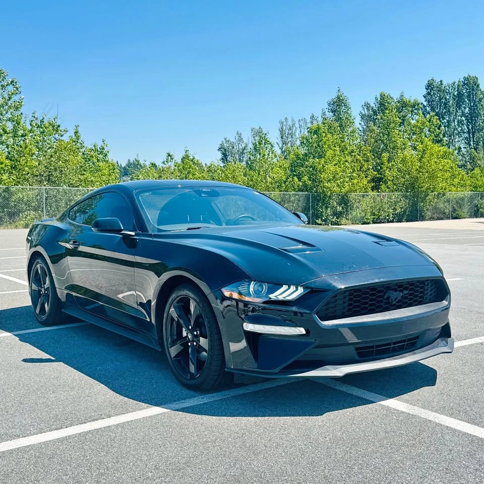 2023 Ford Mustang Eco Boost