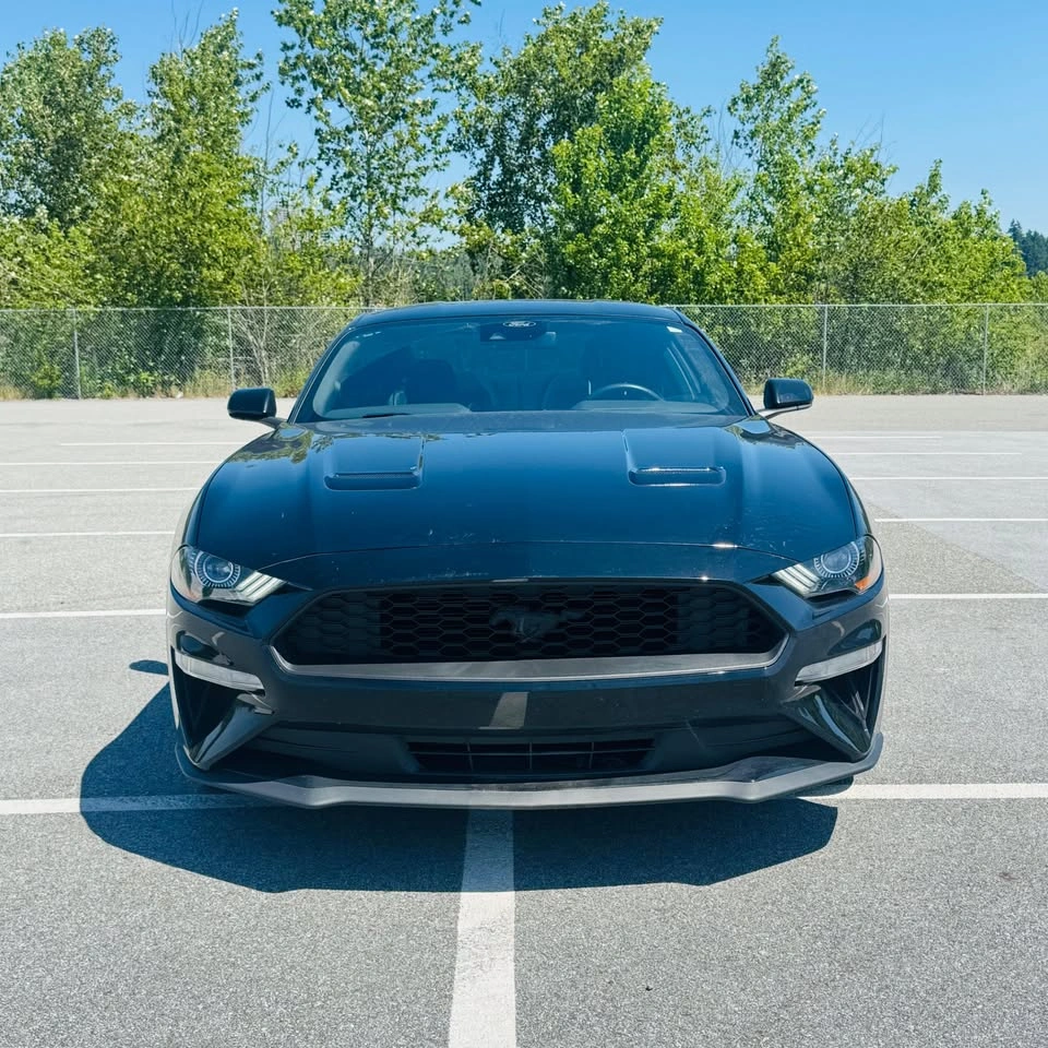 2023 Ford Mustang Eco Boost - photo 2