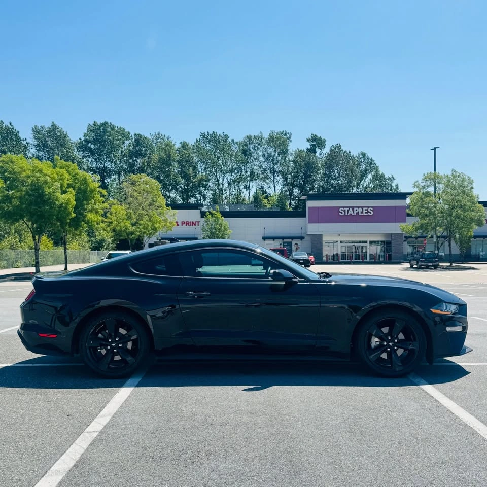 2023 Ford Mustang Eco Boost - photo 3