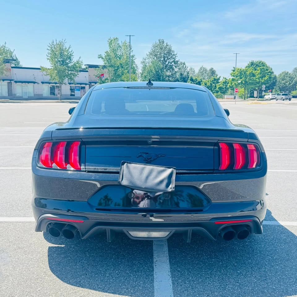 2023 Ford Mustang Eco Boost - photo 5