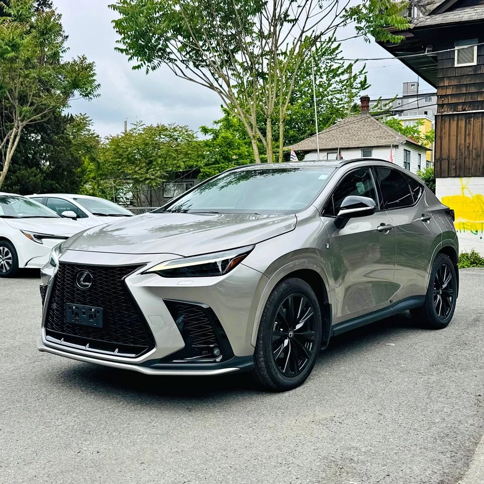 2022 Lexus NX300 F Sport Red Interior