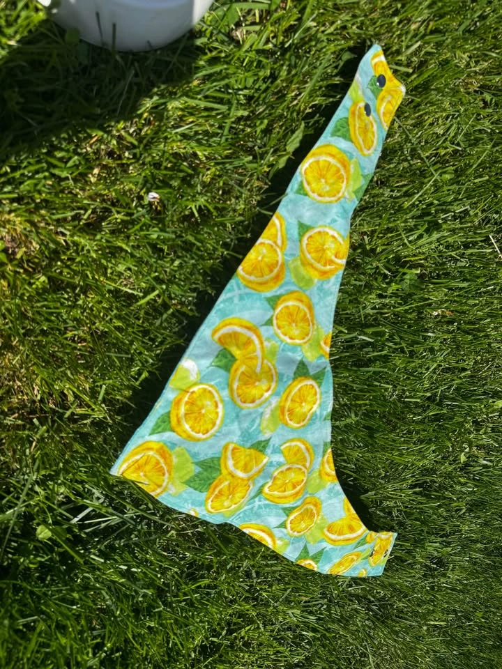 Lemon Print Dog Bandana - photo 2