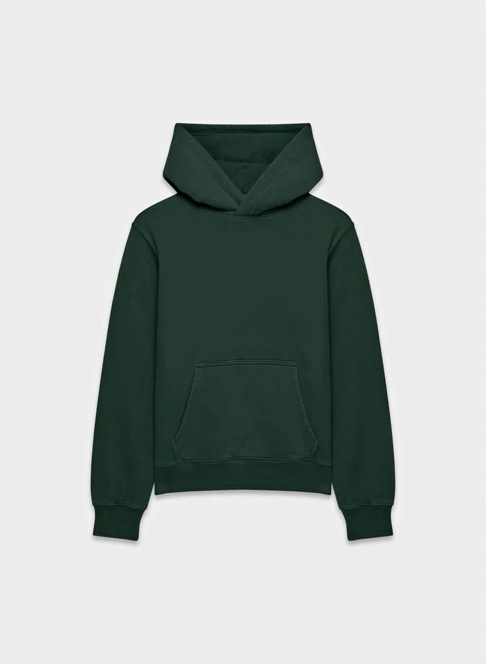 Aritzia Cozy Sweatfleece Mega Raglan Hoodie Scarab XS