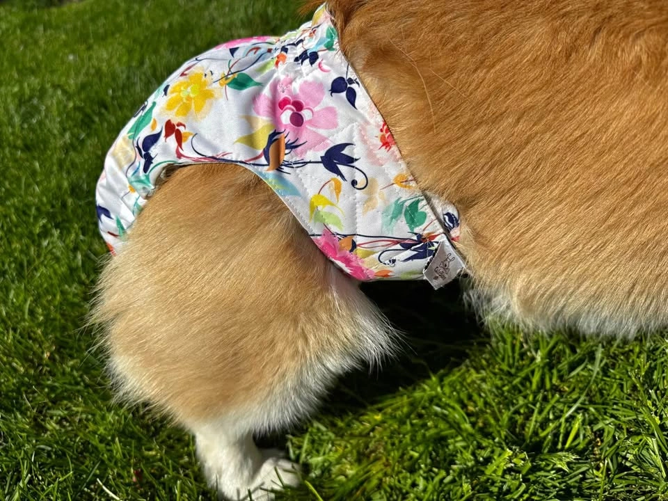 CuteBone Reusable Dog Diaper - Floral Pattern (No Tail)