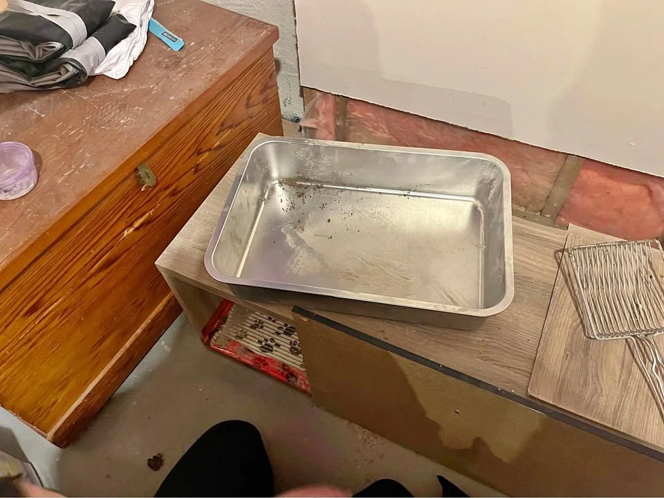 Stainless steel litter box