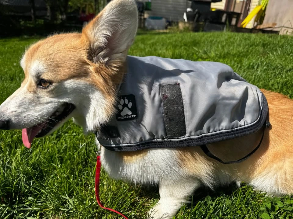 SHEDROW K9 Dog Vest Gray Small - photo 2