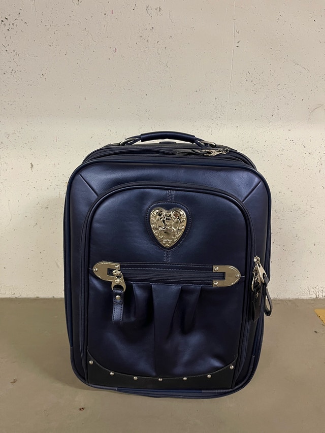 Kathy Van Zeeland Luggage