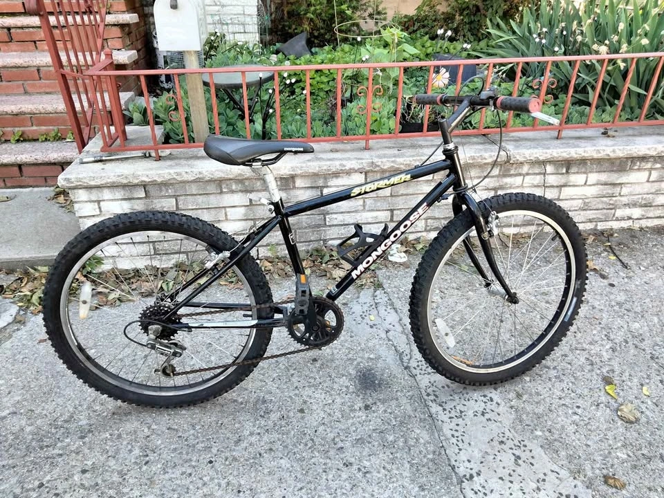 Mongoose 24" Mountain Bike
