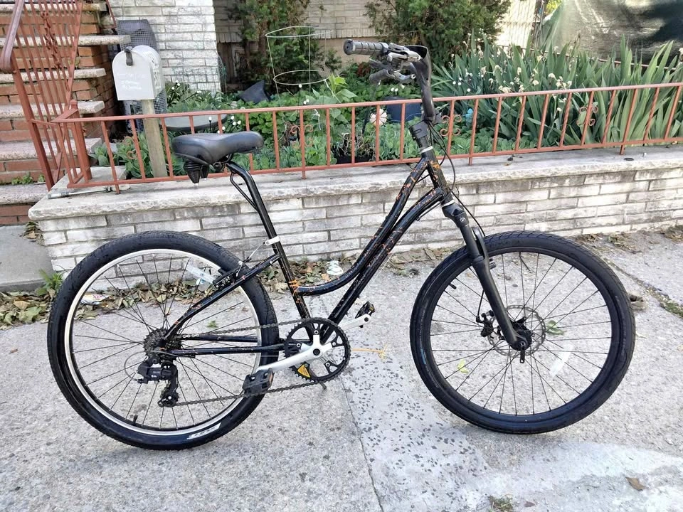 Raleigh Urban Cruiser