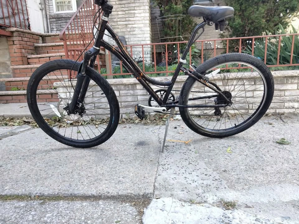 Raleigh Urban Cruiser - photo 2
