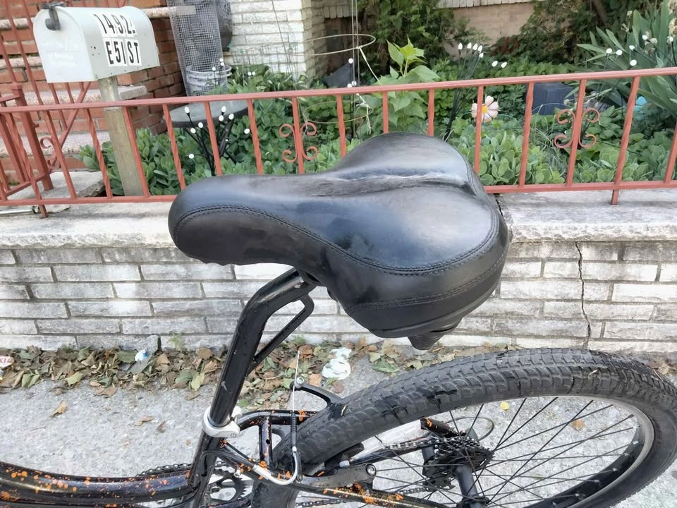 Raleigh Urban Cruiser - photo 3