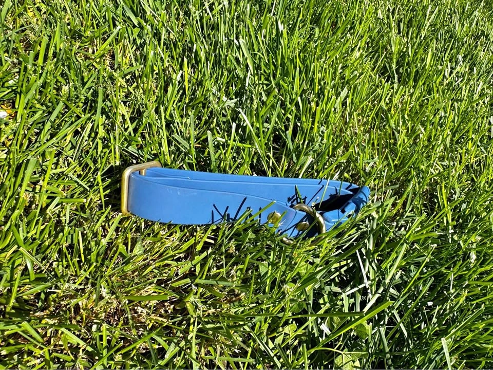 Blue Biothane Dog Collar