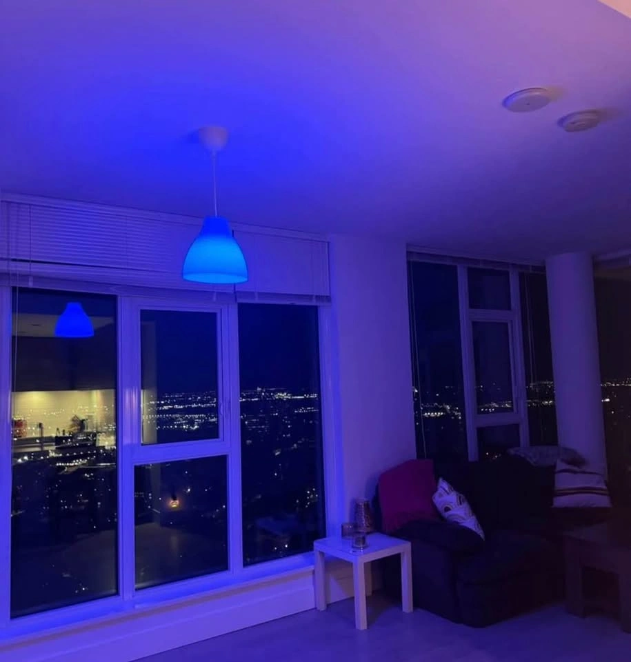Pendant Lamp + Philips Hue Bulb - photo 2