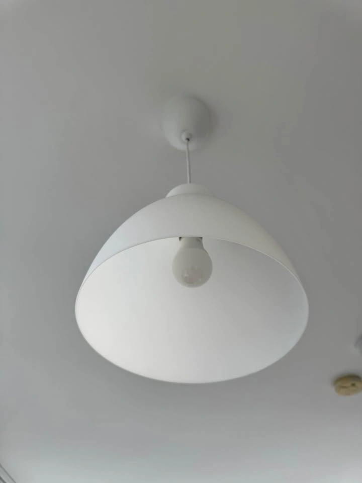 Pendant Lamp + Philips Hue Bulb - photo 4