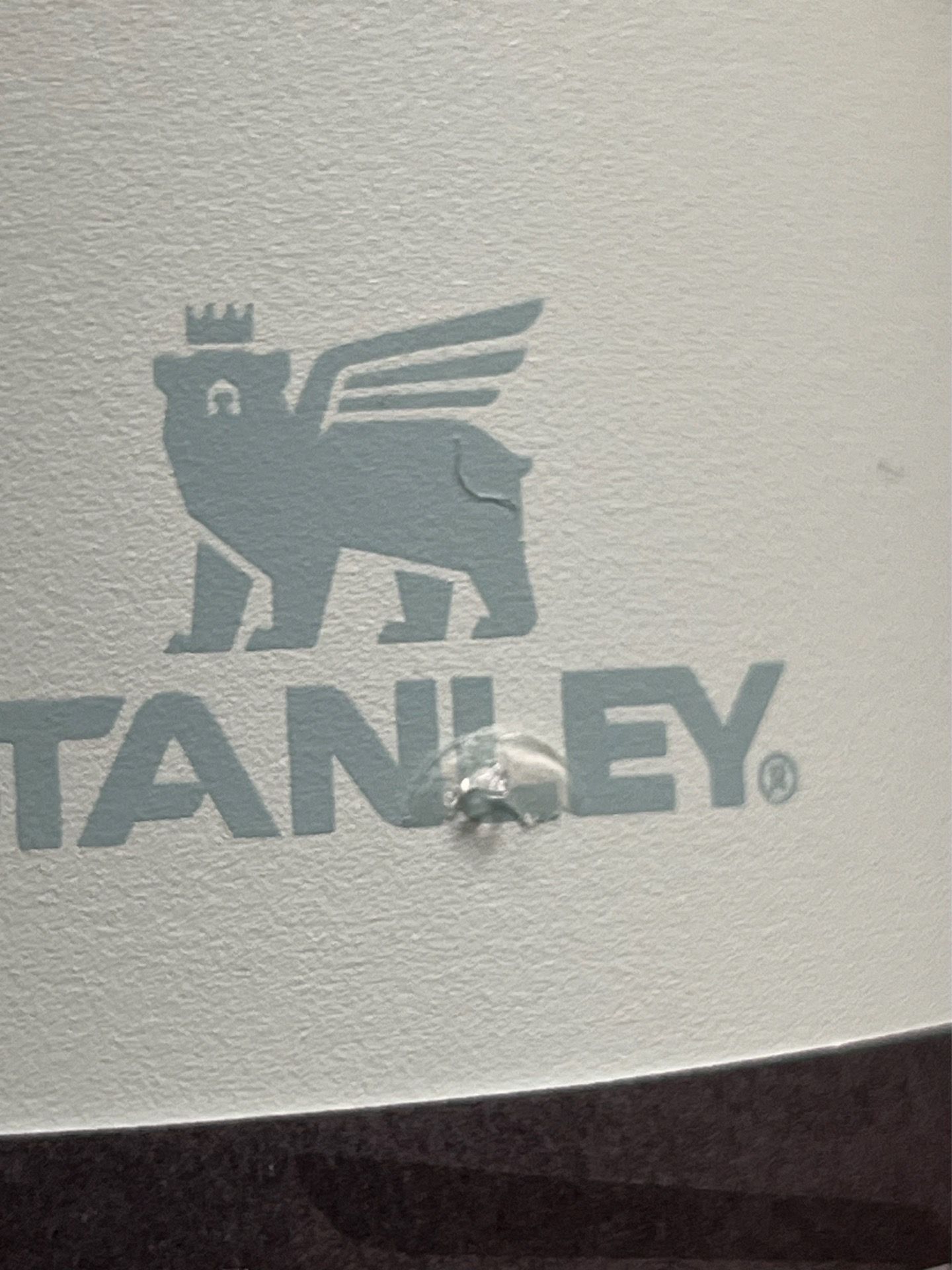 Stanley Bottle - photo 5