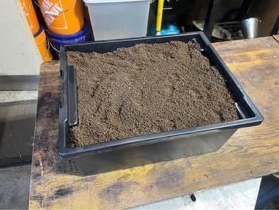 Kensoil Worm Castings with Biochar - photo 4