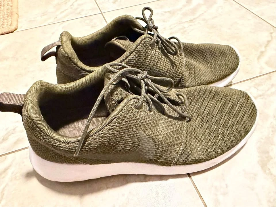 Nike Roche One Sneakers
