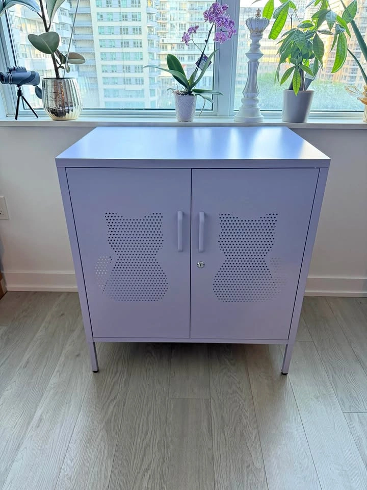 Metal Pet House Cabinet for Cats and Dogs / Pet Crate Furniture