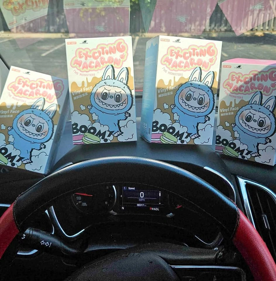 Macaron Labubu for sale in Chicago