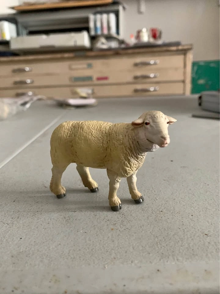 Papo sheep 2005