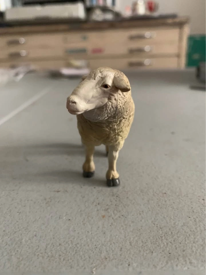 Papo sheep 2005 - photo 2