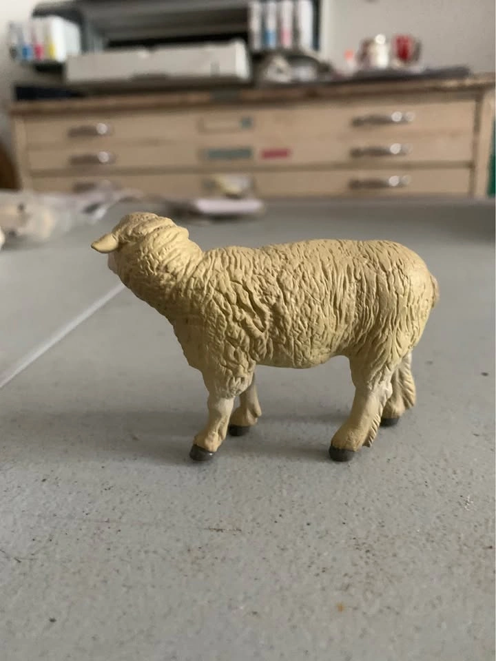 Papo sheep 2005 - photo 3