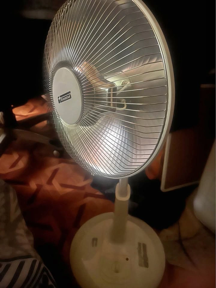 Oscillating heat dish
