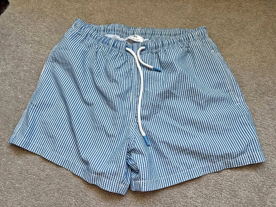 Zara Swim Shorts